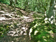 
Graig Wen reservoir or water course, July 2011